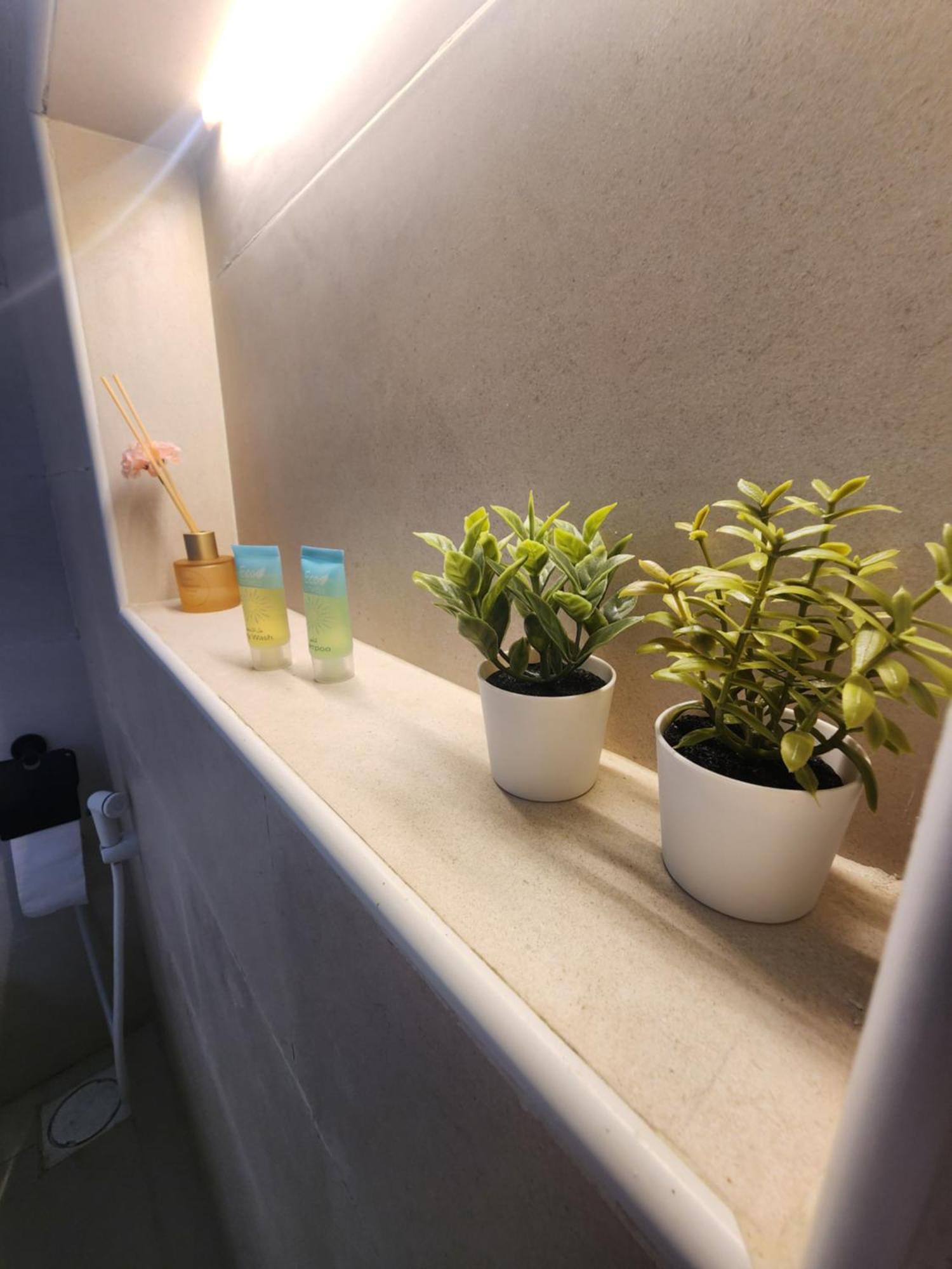 Bubbles Domes Private Cmp Hotell Al Wāşil Rom bilde